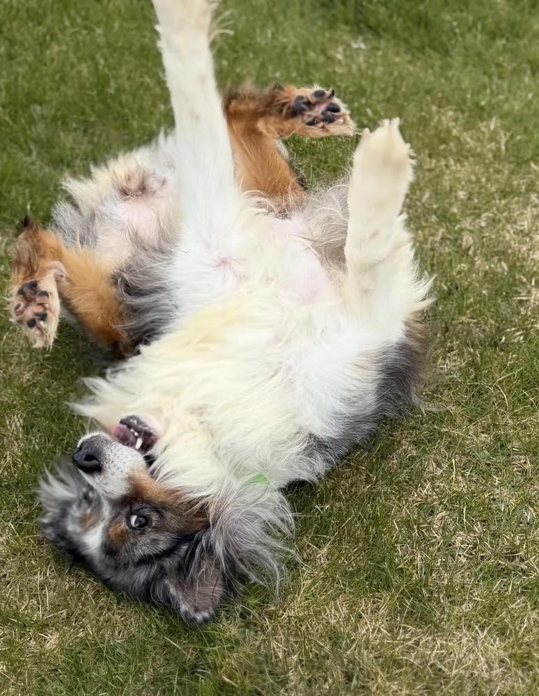 Lola nka Lovey thumbnail 2