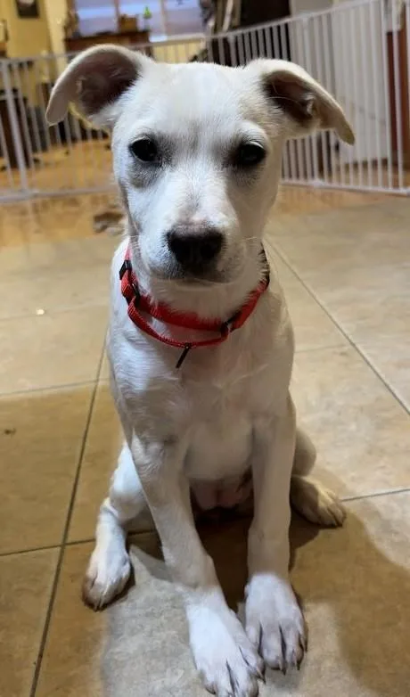 Emily...ohsosweet thumbnail 2