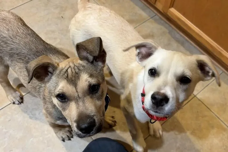 Emily...ohsosweet thumbnail 3