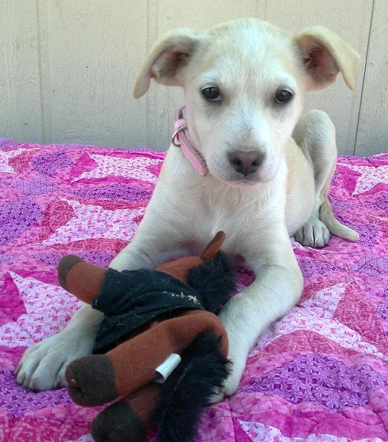 Emily...ohsosweet thumbnail 4