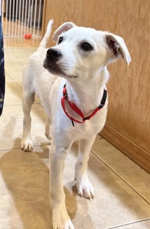 Emily...ohsosweet thumbnail 5