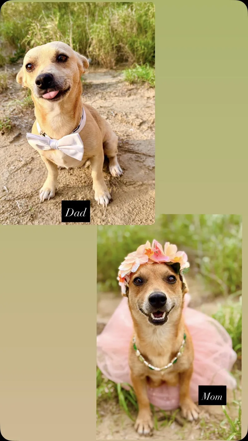 Eloise thumbnail 4