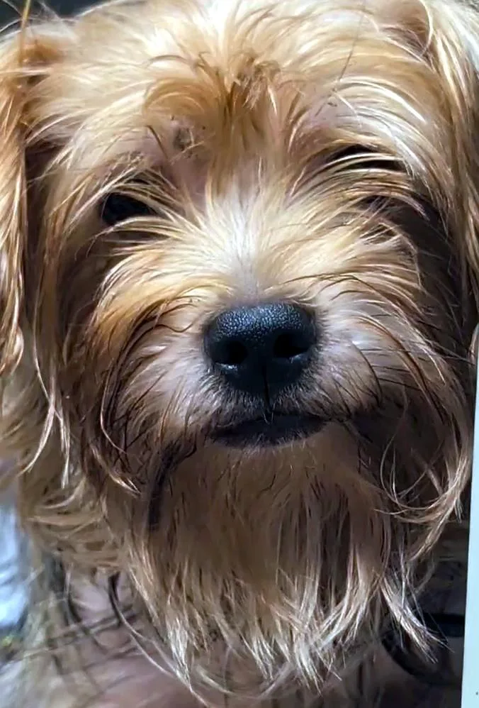 Charlie thumbnail 3