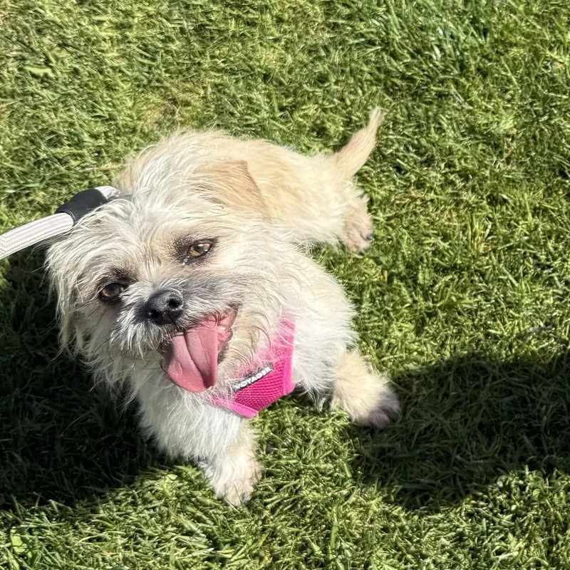 Sprout & Kiwi thumbnail 4