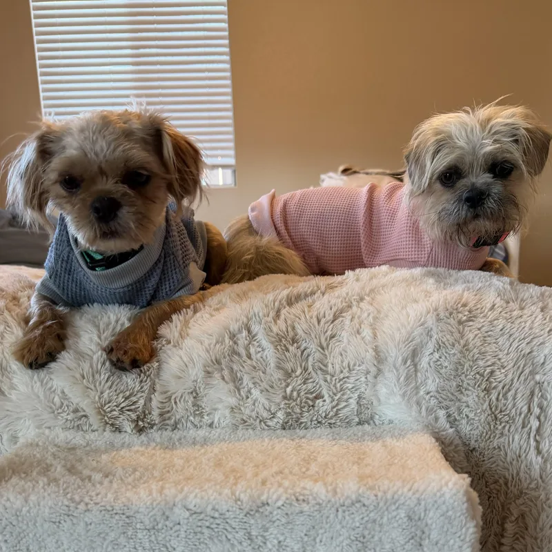 Sprout & Kiwi thumbnail 5