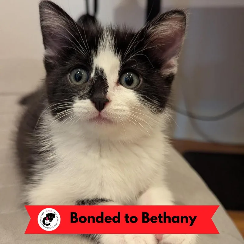 Belinda thumbnail 4