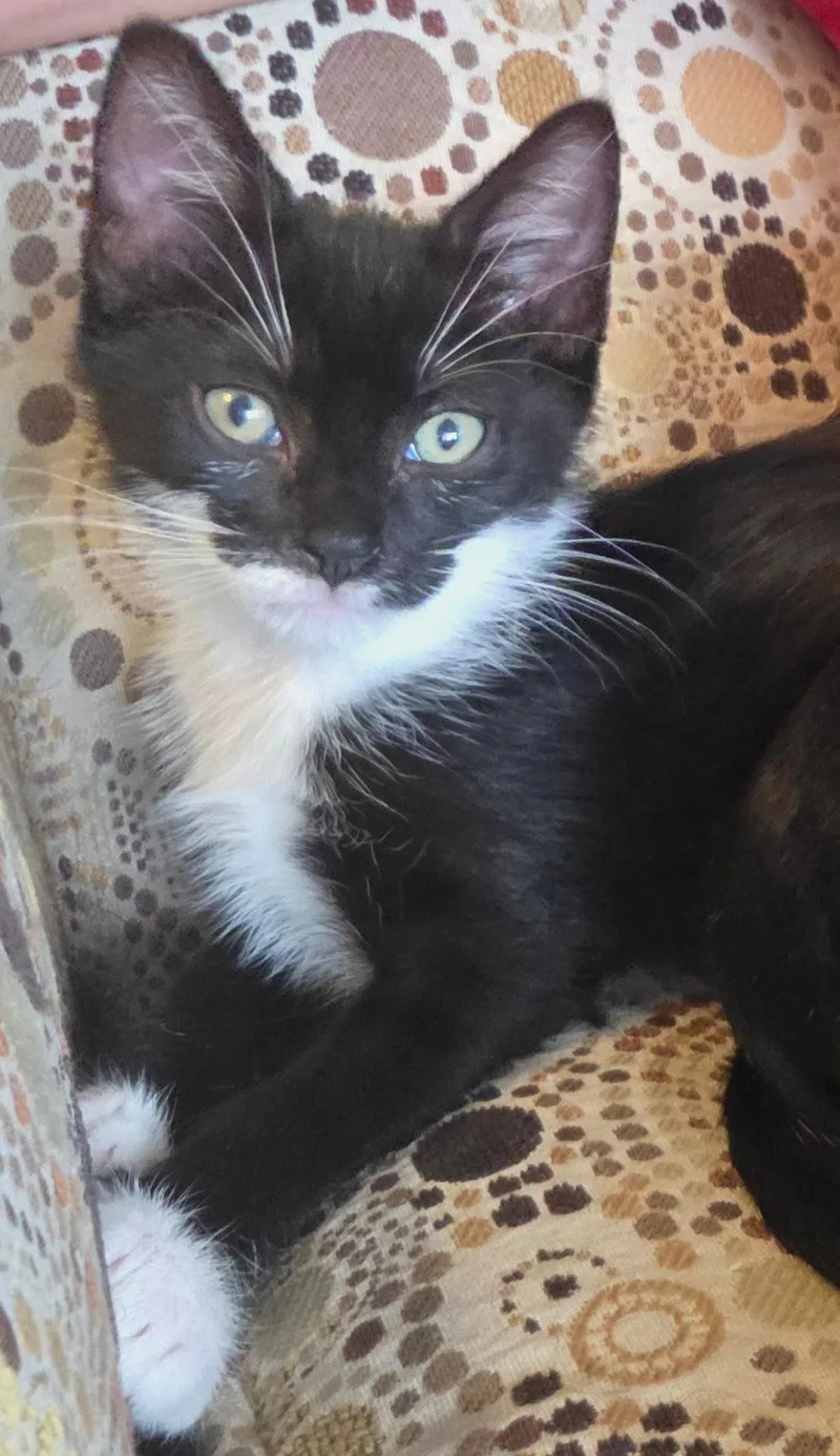 Minnie
