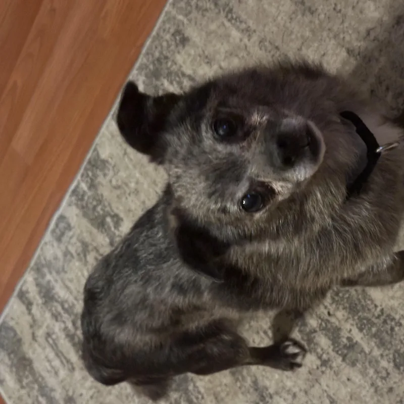 Murphy thumbnail 2