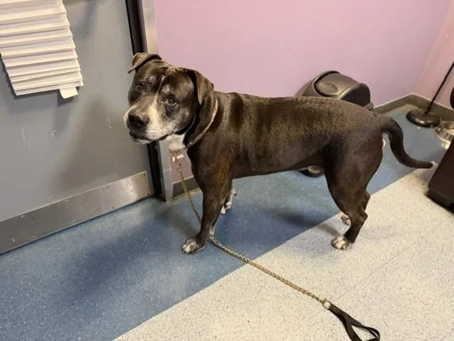 Kaiser