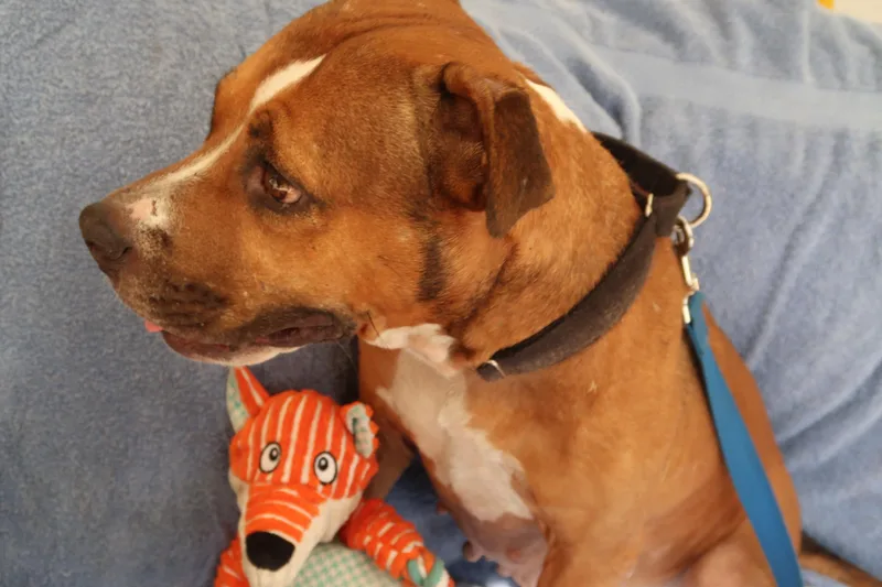 Likin' Smiles ~ So thumbnail 3