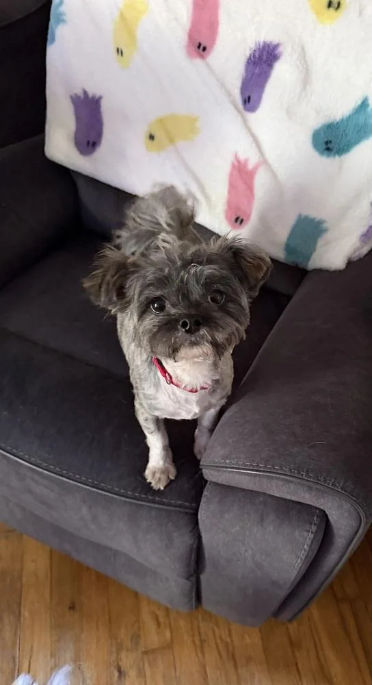 Alana thumbnail 4