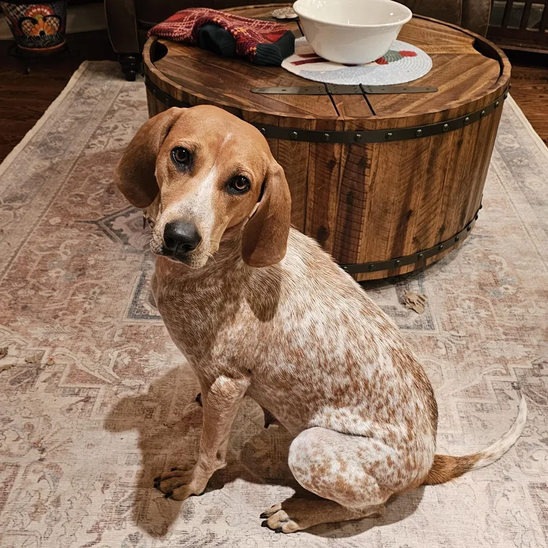 Rosie