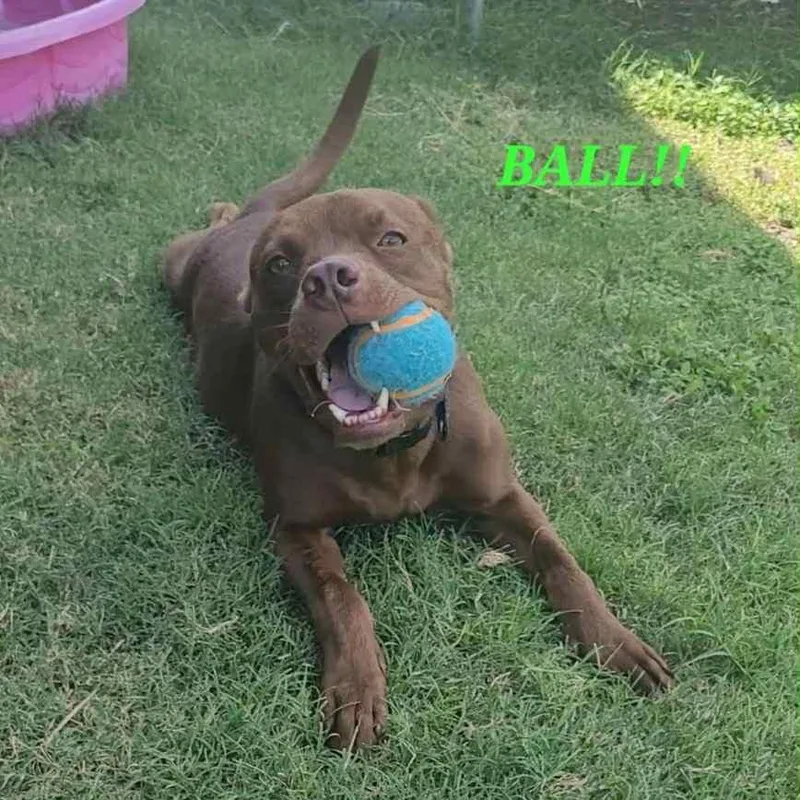 Captain Crunch thumbnail 2