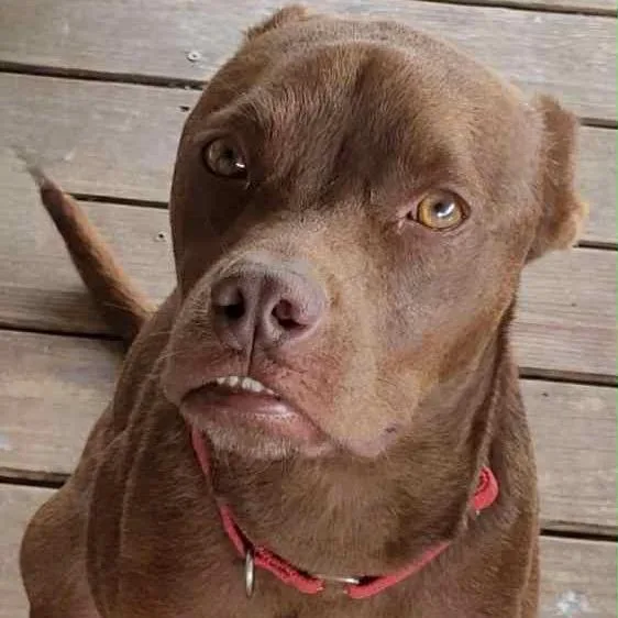 Captain Crunch thumbnail 3