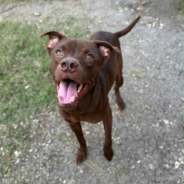 Captain Crunch thumbnail 4