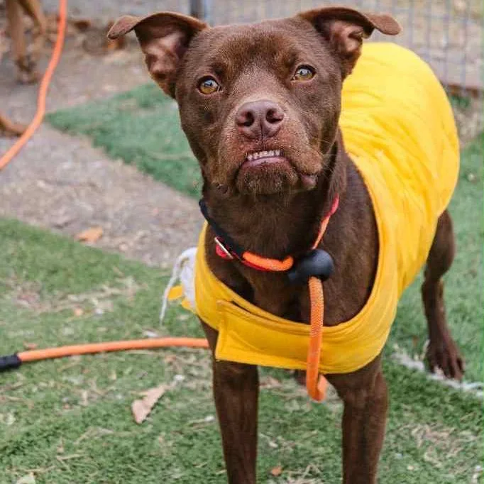 Captain Crunch thumbnail 6