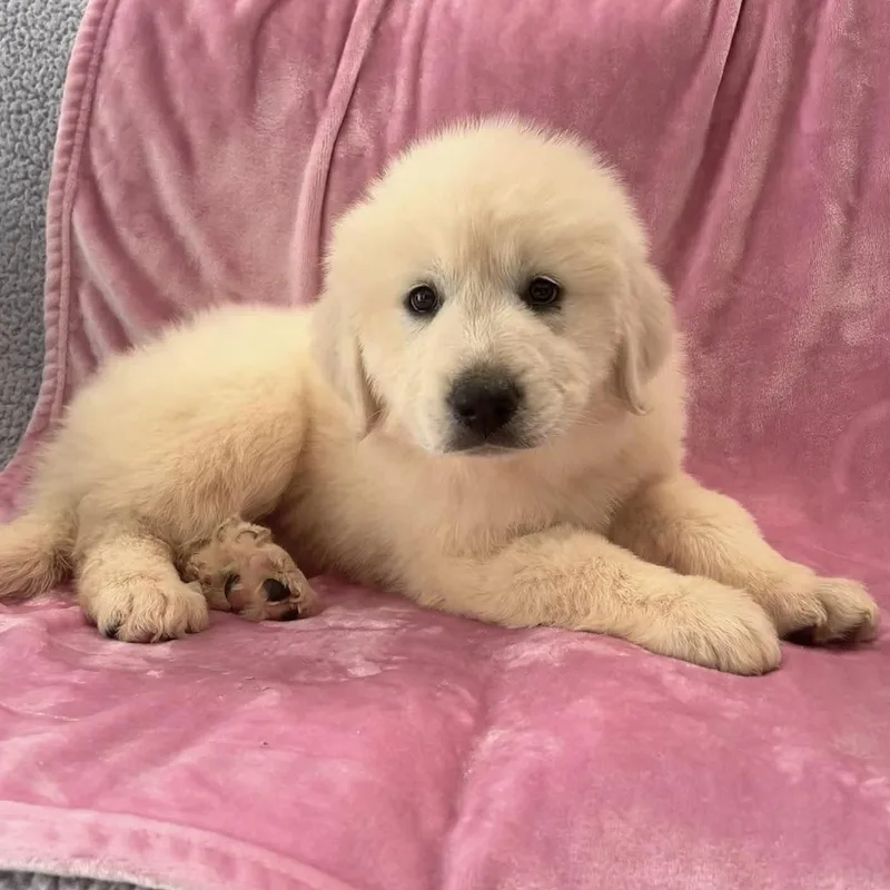 Winnie