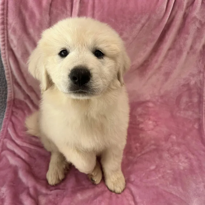 Winnie thumbnail 2