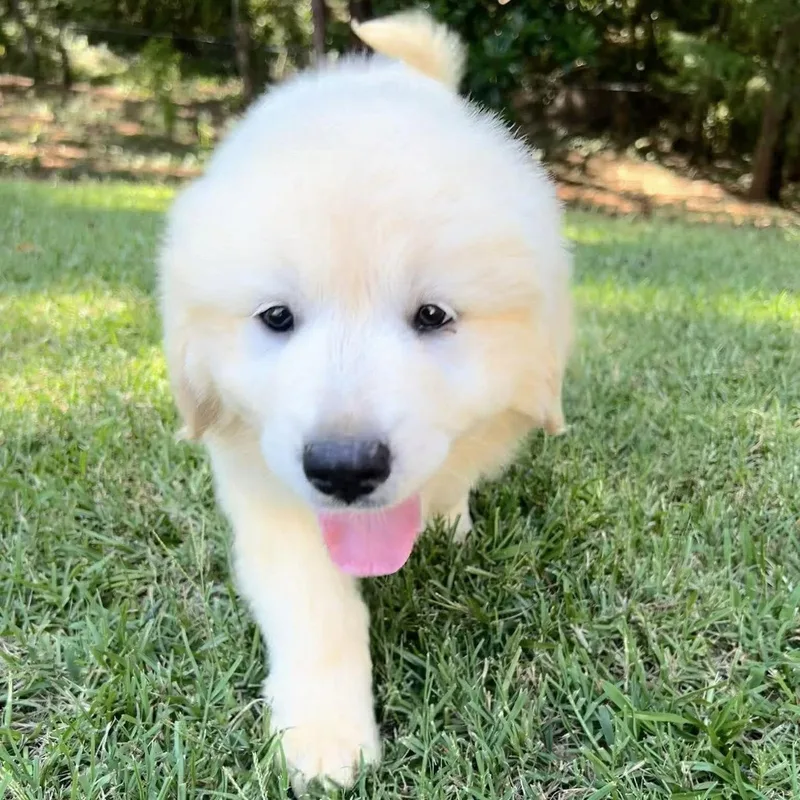 Winnie thumbnail 3