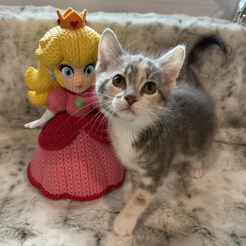 Princess Peach thumbnail 4