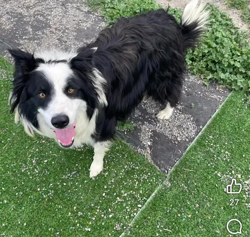 Tucker thumbnail 2