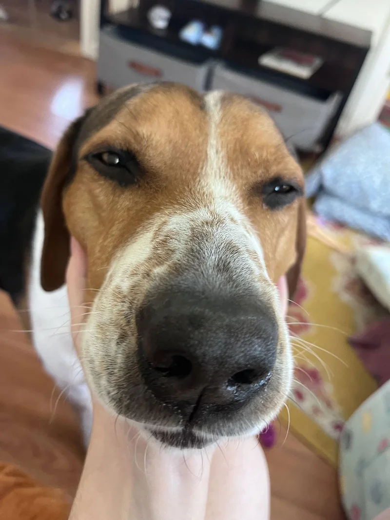 Rocky Granville thumbnail 2