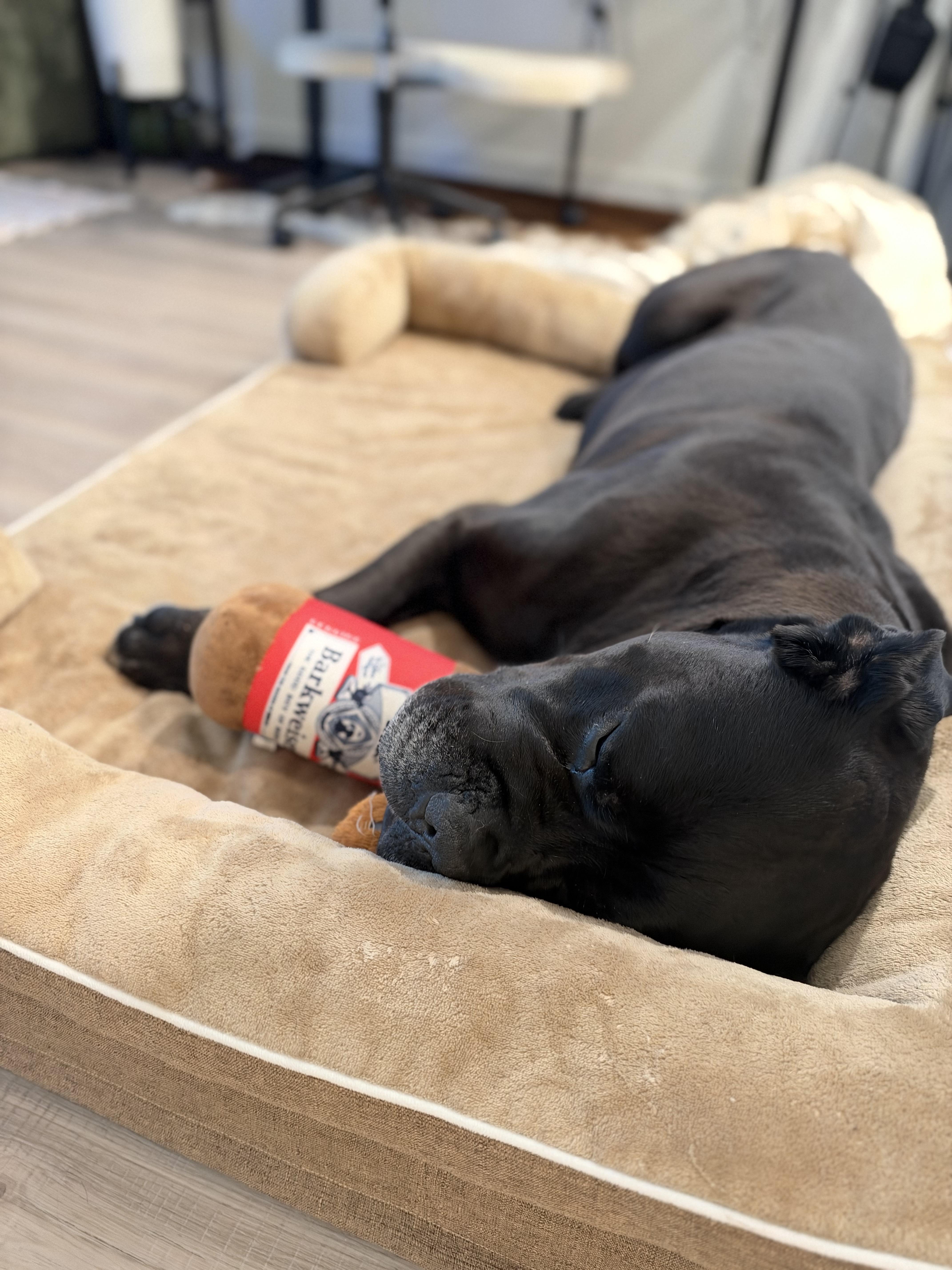 Dozer thumbnail 2