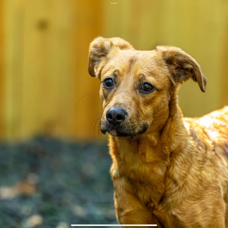 Pop Rocks thumbnail 2