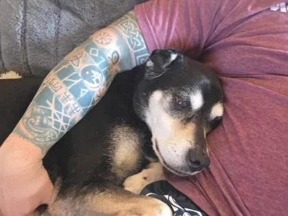 Stella thumbnail 3