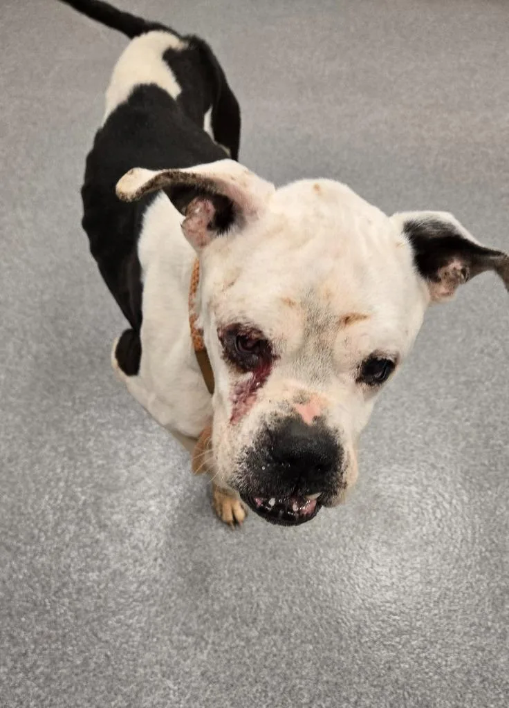 Kane Yrly thumbnail 2