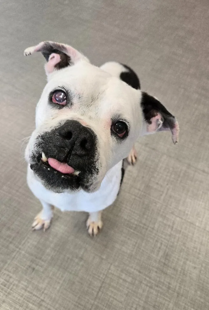 Kane Yrly thumbnail 3