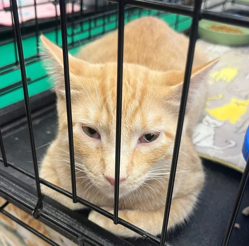 Arjun N. thumbnail 2