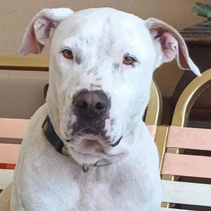 Yara "a Loving Beauty!"