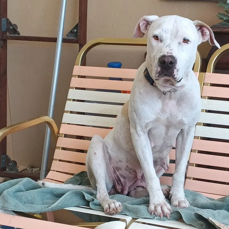 Yara "a Loving Beauty!" thumbnail 2