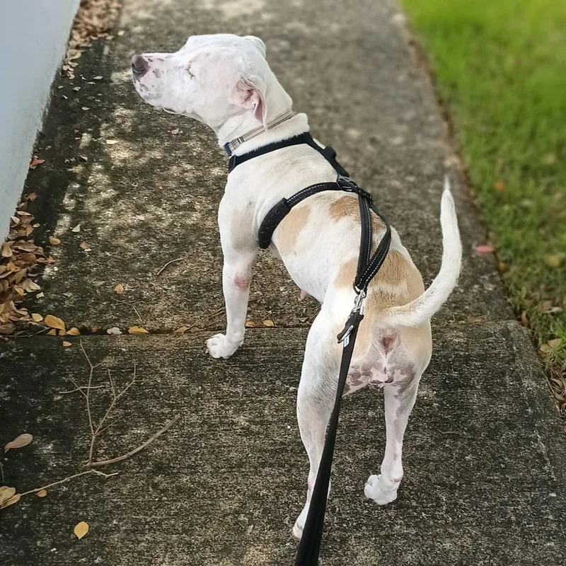 Yara "a Loving Beauty!" thumbnail 3