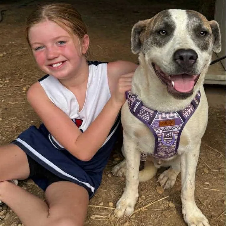 Buster  Local Guy! thumbnail 4