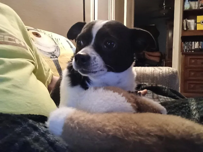 Charlie thumbnail 3
