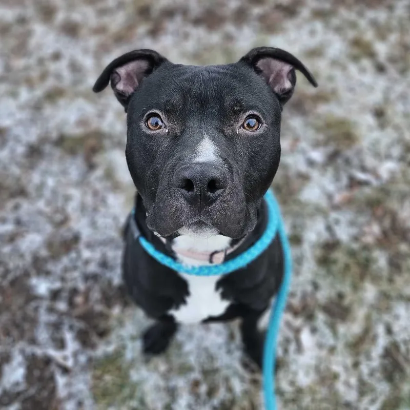 Row Boat thumbnail 4