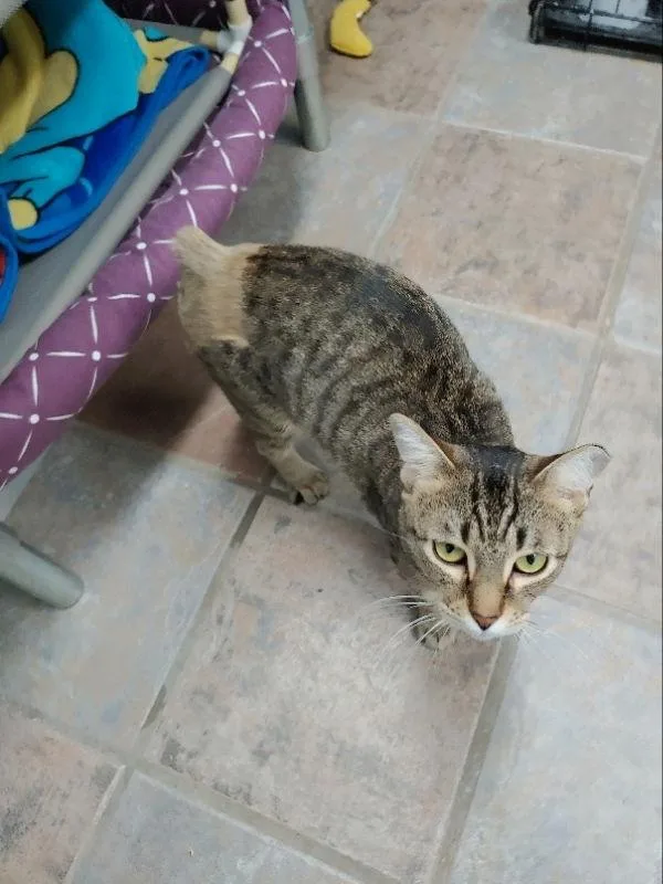 Funkmaster Flex thumbnail 2