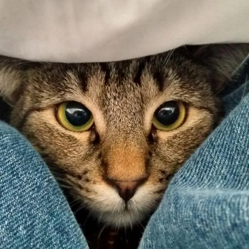 Dolly Pawton thumbnail 4