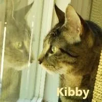 Kibby