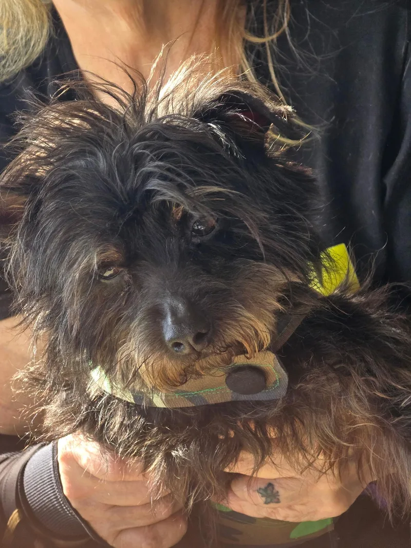 Solstice thumbnail 2