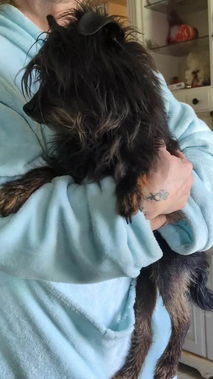 Solstice thumbnail 3