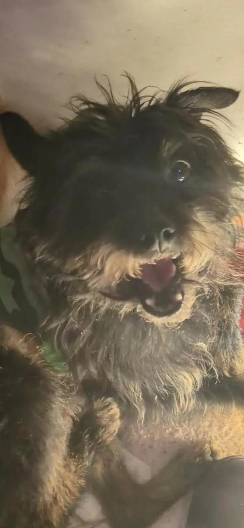 Solstice thumbnail 4