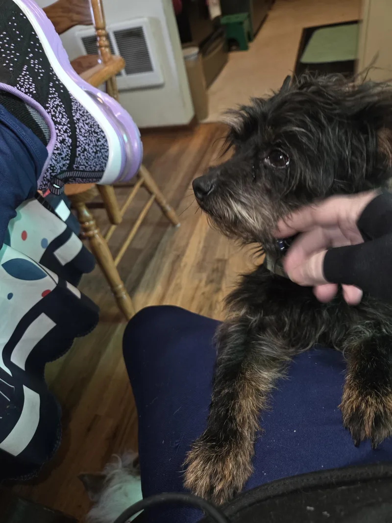 Solstice thumbnail 5