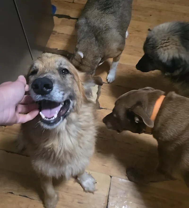 Peg And Bud  thumbnail 2