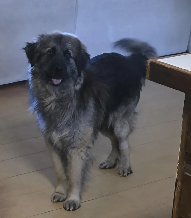 Peg And Bud  thumbnail 3