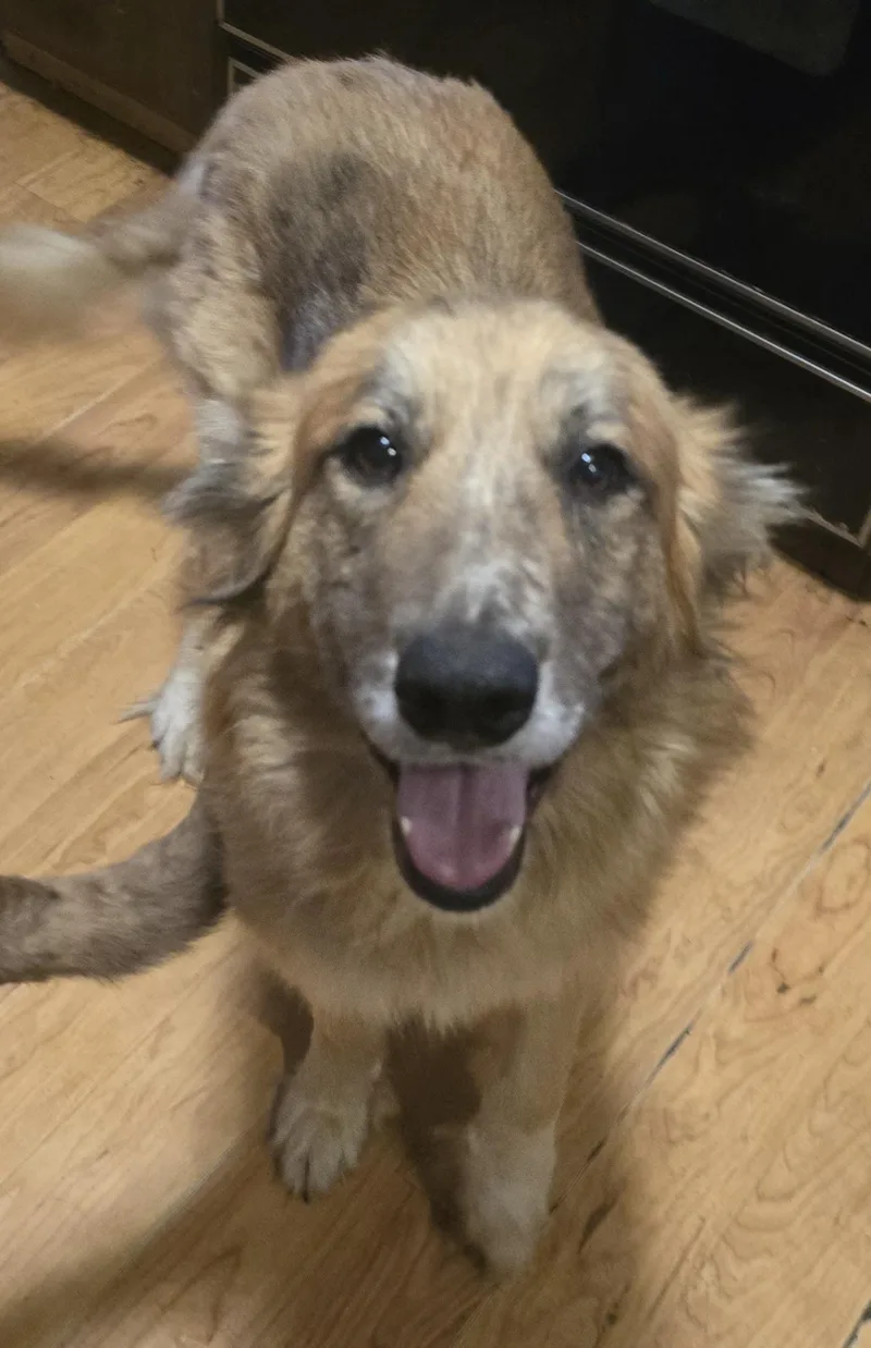 Peg And Bud  thumbnail 4