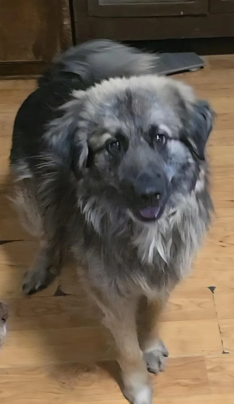 Peg And Bud  thumbnail 5