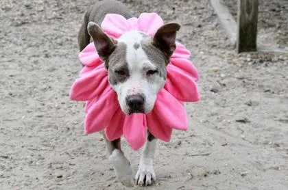 Pebbles Fka Tula thumbnail 2